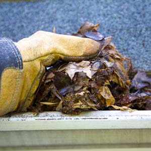 Link to Gutters Maintenance